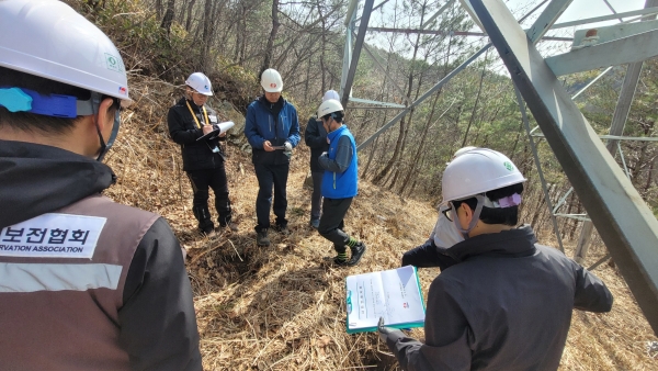 사외 전문기관 합동 철탑 특별진단 모습 [사진=한전]