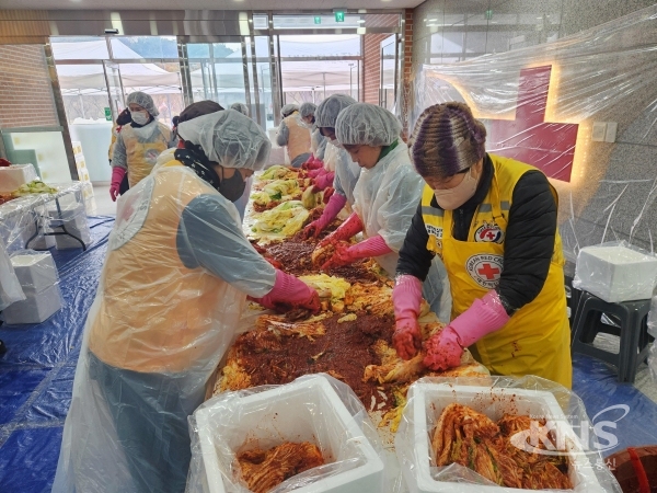 예천군지구협의회 봉사원들이 다가오는 겨울을 맞아 취약계층 이웃을 위해 직접 김장을 하고 있다.  사진=경북적십자사