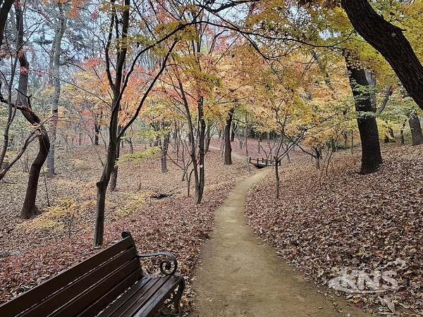 사진=대구 수성구