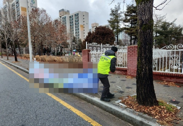 광산구 불법 정당 현수막 정비 / 광산구 제공